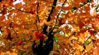 Power Meditation: What are we