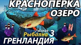 Красноперка Озеро /  РР3 [ Русская рыбалка 3.9 Гренландия]