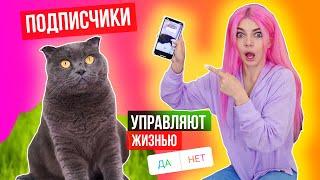 ПОДПИСЧИКИ УПРАВЛЯЮТ ЖИЗНЬЮ КОШЕЧКИ БАТТЕРС | 24 ЧАСА