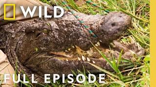 Man-Eating Crocodiles (Full Episode) | Dangerous Encounters