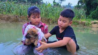 “Two Orphans Rescue a Puppy from Raging Waters – The Story That Touched Millions of people”