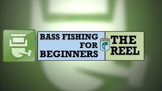 Bass Fishing for Beginners: The Reel