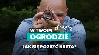 Jak się pozbyć kreta z ogrodu? [W Twoim ogrodzie]