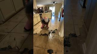 Removing floor finishes that were supposed to leave a shine but made it look terrible instead! #asmr