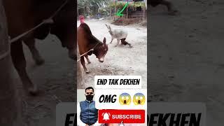 Omg end tak dekhen 2025