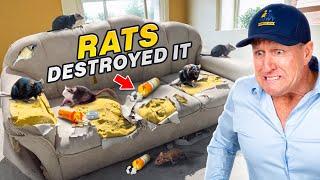 Rat INFESTATION Traumatized Homeowner!