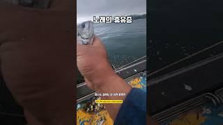 좋은 노래는 휴유증을 남기고... #남해 #감성 #낚시 #노래 #바다 #선장 #라이브