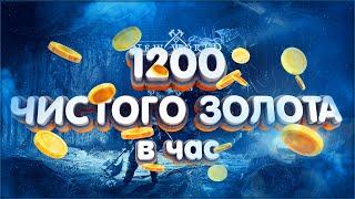 1200 ГОЛДЫ В ЧАС! ЧИСТЕЙШЕЕ ЗОЛОТО! БЕЗ АУКА! БЕЗ ПРОФ! АБУЗ! ГОЛДФАРМ.