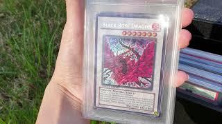 My Graded Black Rose Dragon and Red Eyes Black Dragon Yugioh Collection