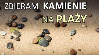 Co znajdziemy na bałtyckiej plaży? Poszukiwania skamieniałości nad morzem.