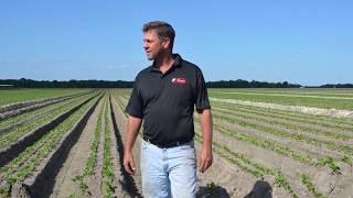 Jones Potato Farm Wins American Vegetable Grower Magazine's 2017 Grower Achievement Award