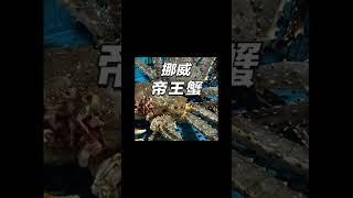 美食youtube