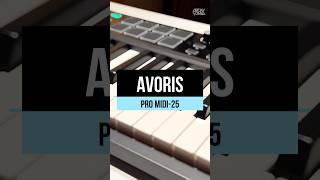 Avoris Pro MIDI-25 (1)