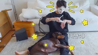 방탄소년단 인더숲2 전밤이 귀여운 순간/ Bam cute moments