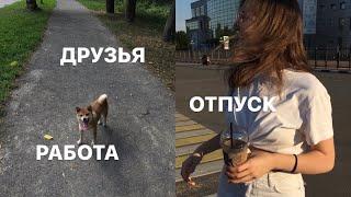 Летний влог | последний день отпуска | друзья | отдых | будни выгульщика собак