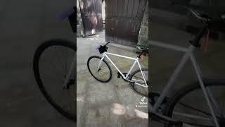 Morning Fixie Ride