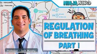 Respiratory | Regulation of Breathing: Respiratory Centers: Part 1