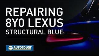 Learn How to Repair Lexus Structural Blue with Nexa Autocolor®