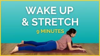 Morning Yin Yoga  The BEST Morning Stretches!