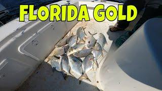 FLORIDA GOLD!!! This simple Technique will catch limits of Pompano.