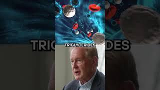 What Happens to Metabolism in Menopause? | Dr. Robert Lustig