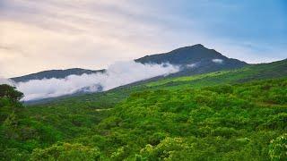 Breeze blows & the sun shines (Nature Visualizer)