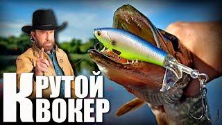  Неубиваемый КВОКЕР от Kingdom! Сравнение с Whopper Plopper от Allblue! 