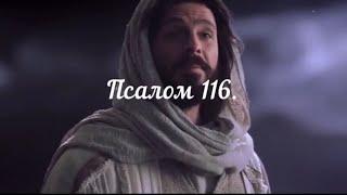 Псалом 116.Библейские псалмы. Псалтирь.