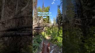 I went by myself #horses #trailriding #trail #solo #mustang #shorts #trending #trendingshorts #crazy