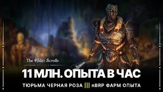 TESO  Самая быстрая прокачка персонажа в игре | Фарм опыта в nBRP | Как получить много опыта | 2022