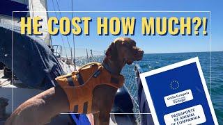 E30 Sailing with our dog (hidden costs, pet passport, red tape)