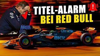 Norris watscht Verstappen ab! Verliert Red Bull beide F1-Titel?