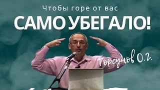 Чтобы горе от вас само убегало! Торсунов лекции