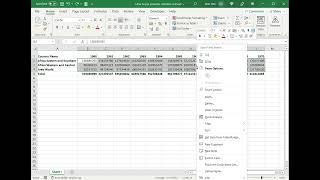 How to put scientific notation in Excel