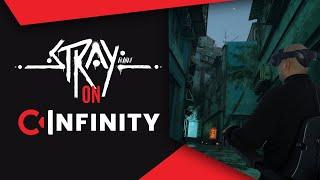 STRAY in VR on the C-Infinity VR Interface