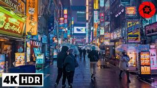 4K HDR Snowy Night in Shinjuku, Tokyo 2025