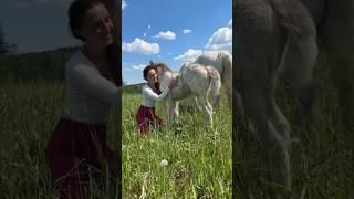 ЖИВУ В ДЕРЕВНЕ В 24 ГОДА #ферма #horse #деревня #лошади #конюшня #хутор