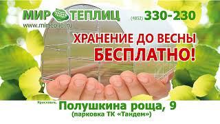 Мир Теплиц febr 2024 10с Ярославль