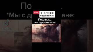 Обезьяны в бане!прикол!#shortvideo #животные #александрсуворов