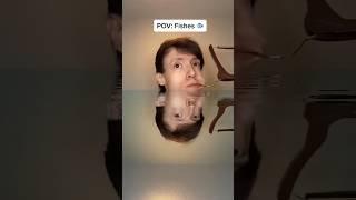 when a fish don't realize he's getting snatched up #funny #comedy #linefish #shorts #viral