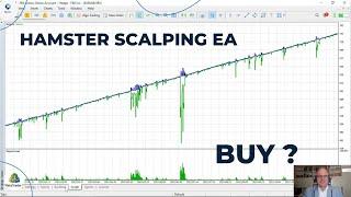 Hamster Scalping EA | Should I buy this bot?