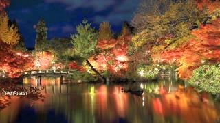 TOSHIKI HAYASHI - seasons change