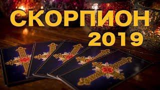 СКОРПИОН - 2019. Таро-Прогноз на 2019 год. Гадание на Таро.