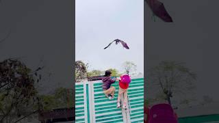 Riya rishav srart kar rhe the   dragan ne kar diya hmla 