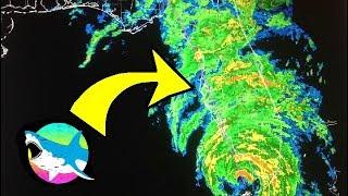 FOOTAGE FROM INSIDE HURRICANE IRMA!!! (Massive Storm Hits Trippy Commentaries HQ!)