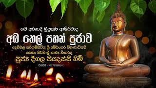 නව අරහාදී බුදු ගුණ අශිර්වාද අබ තෙල් පහන් පූජාව (Aba Thel Poojawa) | Deegala Piyadassi Thero