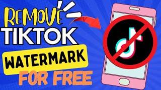 PAANO MAG-DOWNLOAD NG TIKTOK VIDEO NA WALANG WATERMARK|