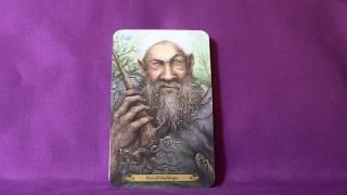 Forest of Enchantment Tarot Full Flip Through