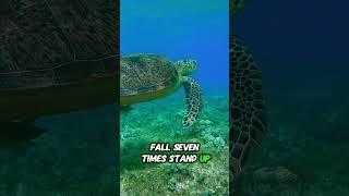 Fall seven times #motivation #wisdom #spirit #fighting #keepdreaming#dreams#success#journey