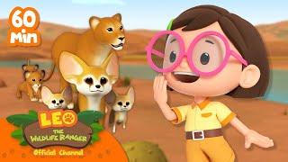 1 HOUR WITH CATS AND CUTE ANIMALS! | Leo the Wildlife Ranger | Cartoons for Kids | #compilation